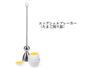 eCN2@TAKE2@NbN@GbOVFu[J[i܂j