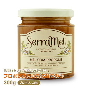 v|Xi2jVR݂͂300g |gKY I M [Y}j[j n`~c ChEx_[