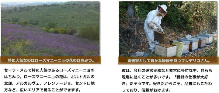 上質 クマちゃんハチミツ ワイルド ラベンダー 340g Materialworldblog Com