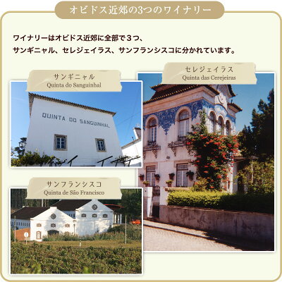 ソッタル・ライト