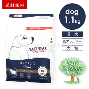 i`n[xXg eiX  1.1kgi嗱^Cvj  hbOt[h hCt[h r ᎉb J[  VjA