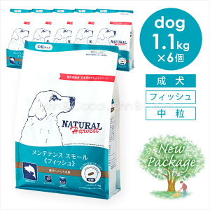 i`n[xXg eiXX[ tBbV 1.1kg×6i6.6kgj  hbOt[h hCt[h  ᎉb J[ OCt[  VjAupbP[Wj[Av