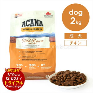 yʉiIgCALy[ԉu1/7()12vzAJi DOG ChvC[hbOVs 2kg  hbOt[h hCt[h ACANA m[OC sgp