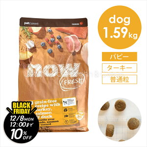 yWRRBlackFridayeu11/21()12`12/8()12vziE tbViNOW FRESHj OCt[ ps[ 1.59kg  hbOt[h hCt[h q c ʗ ^[L[