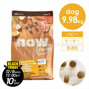 yWRRBlackFridayeu11/21()12`12/8()12vziE tbViNOW FRESHj OCt[ ps[ 9.98kg  hbOt[h hCt[h q c ʗ ^[L[