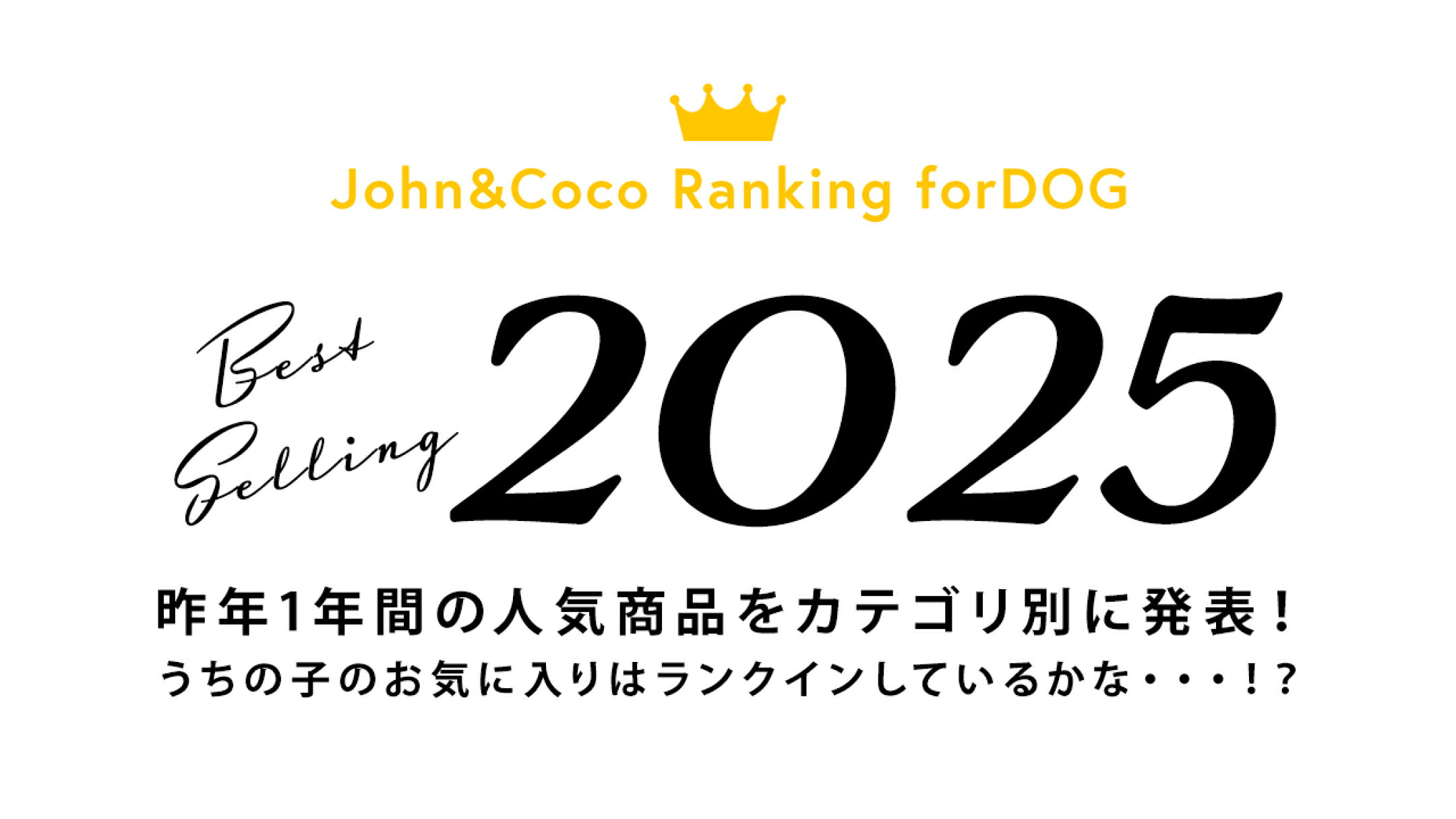 ドッグフードの人気商品ランキング