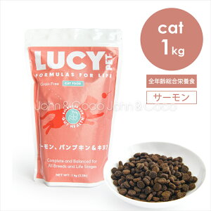 [V[ybg CAT T[EpvLLkA 1kg L Lbgt[h hCt[h voCIeBNX OCt[ 畆 XLPA