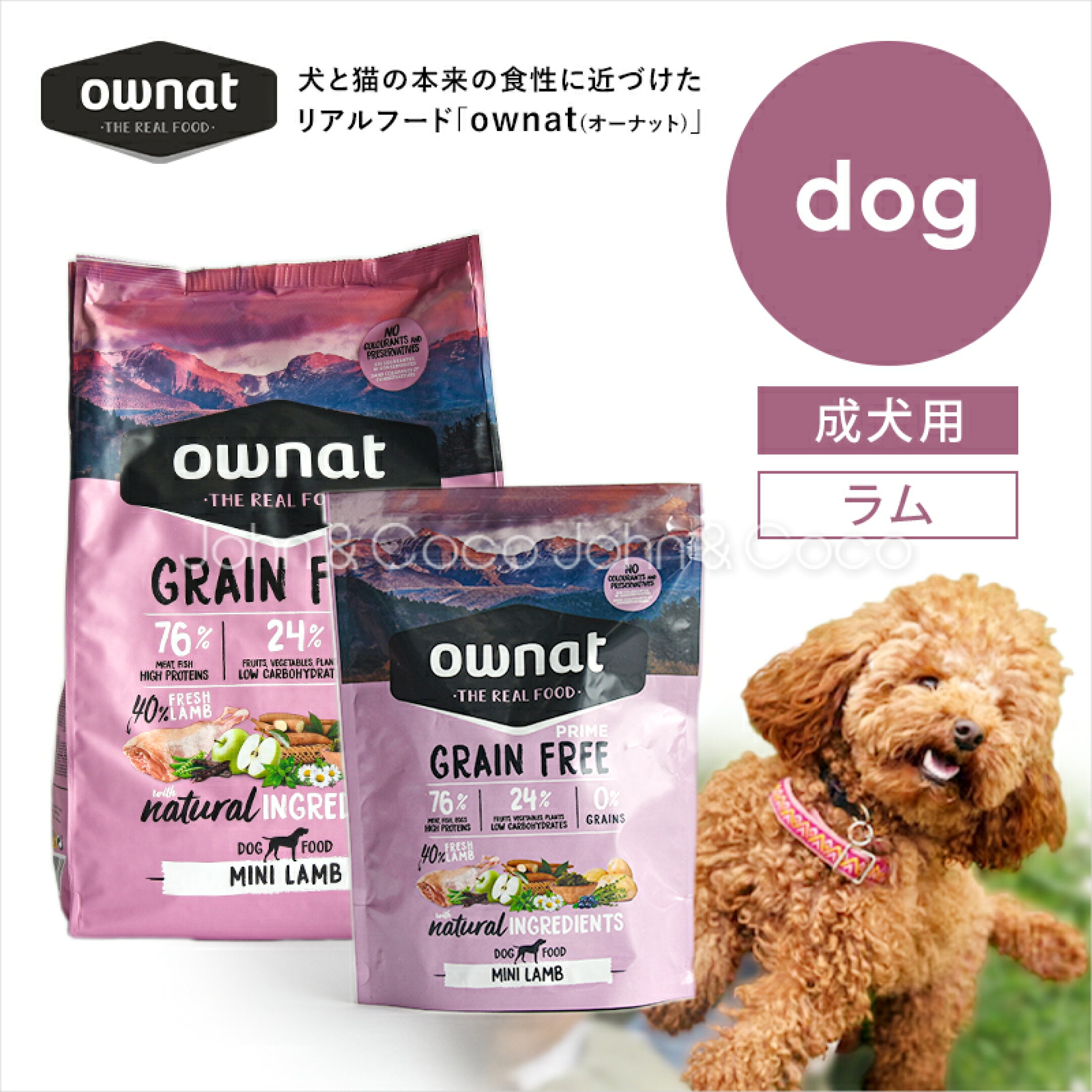 オーナット グレインフリー プライム 小粒 ラム