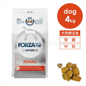Forza10 i[ANeBu ~fBA 4kg