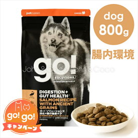 ゴー DOG 消化＋腸の健康ケア サーモン 800g ドッグフード ドライフード 犬のごはん スーパーフード 古代穀物 GO!