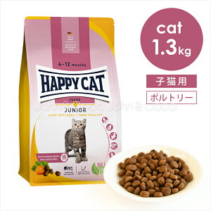 nbs[Lbg O WjA t@[|g[ (`L) 1.3kg