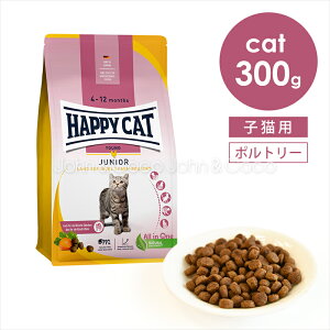 nbs[Lbg O WjA t@[|g[ (`L) 300g