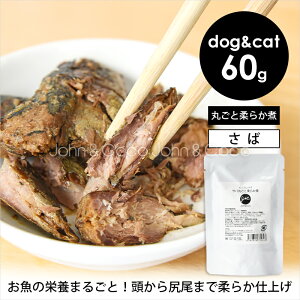 JC v~ApE` ToۂƏ_炩 60g  L EFbgt[h gbsO   tBbV pE` gg hbOt[h Lbgt[h