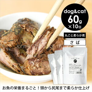 JC v~ApE` ToۂƏ_炩 60g×10  L EFbgt[h gbsO   tBbV pE` gg hbOt[h Lbgt[h e