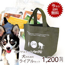 J＆C 限定 ジョンココ トライアルセット 犬用 送料無料 お試し サンプル ドッグフード ドライフード ウェットフード オヤツ 「初回限定おひとり様おひとつ」