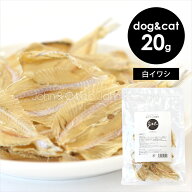 J＆C プレミアムトリーツ 白イワシの開き 20g 犬 おやつ ドッグトリーツ 猫 オヤツ キャット トリーツ