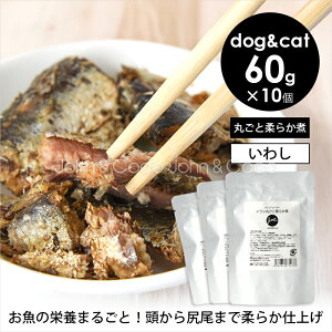 JC v~ApE` CVۂƏ_炩 60g×10  L EFbgt[h gbsO   tBbV pE` gg hbOt[h Lbgt[h e