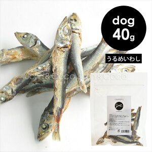 JC ߊۊ 40g hbOg[c  Ic  JVE Y