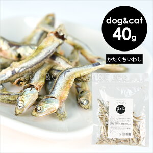 JC v~Ag[c CVۊ 40g Y  L  