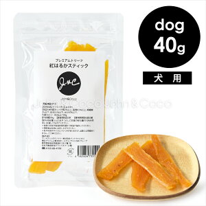 JC v~Ag[c g͂邩XeBbN 40g  g[c  ܂ Y  Y