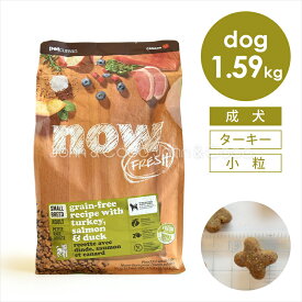 ナウフレッシュ （NOW FRESH） グレインフリー スモールブリード アダルト 1.59kg ドッグフード ドライフード 犬のごはん ミールフリー ターキー 七面鳥 小型犬 小粒 成犬 デンタルケア