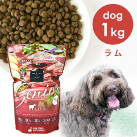 POCHI（ポチ） ザ・ドッグフード エイジングケア シニア ラム 1kg ドライフード 犬のごはん 小粒 低リン 低脂質 MCTオイル 成犬用 シニア犬 羊肉