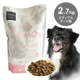 POCHI（ポチ） ザ・ドッグフード ベーシック ワイルドサーモン ミディアムラージ粒 2.7kg 犬 ドライフード 大き目 グレインフリー グルテンフリー 低脂肪 中型犬 大型犬 全年齢