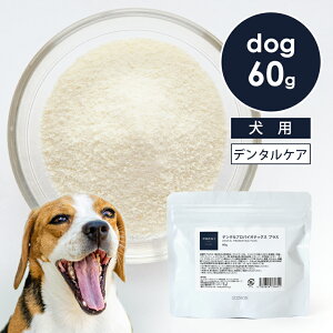 POCHIi|`j f^voCIeBNX vX 60g  Tvg f^ ݂  ̌N pE_[  ӂ肩 Y