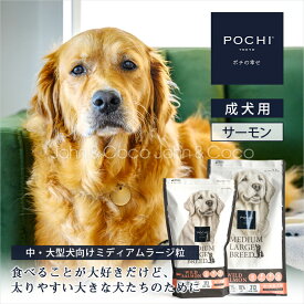 POCHI（ポチ） ミディアムラージブリード ワイルドサーモン 犬 ドッグフード ドライフード 中大型犬 魚 グルテンフリー【雑誌「RETRIEVER」コラボ商品】【公式販売店舗】