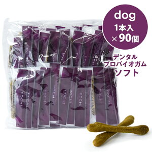 POCHIi|`j f^voCIK \tg u[x[eC 1{×90 ̂ g[c Y _炩 VjA ^ {  e