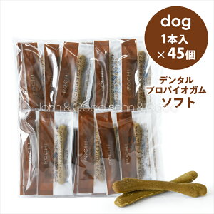 POCHIi|`j f^voCIK \tg ORT~RhC` 1{×45 ̂ g[c Y _炩 VjA ^ {  e