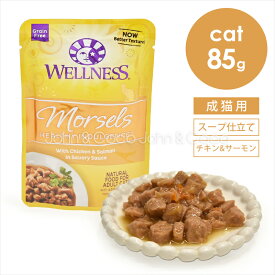ウェルネス インダルジェンス 香るとろみスープ仕立て チキン＆サーモン 85g キャットフード ウェットフード パウチ ノーグレイン 穀類不使用 クランベリー 鶏肉 魚肉 シニア 総合栄養食
