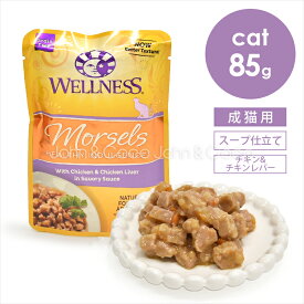 ウェルネス インダルジェンス 香るとろみスープ仕立て チキン＆チキンレバー 85g キャットフード ウェットフード パウチ ノーグレイン 穀類不使用 クランベリー 鶏肉 シニア 総合栄養食