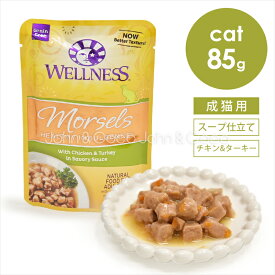 ウェルネス インダルジェンス 香るとろみスープ仕立て チキン&ターキー 85g キャットフード ウェットフード パウチ ノーグレイン 穀類不使用 クランベリー 鶏肉 七面鳥 シニア 総合栄養食