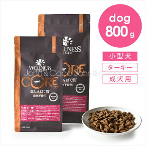 EFlX RA sgp ^ p 800g hbOt[h hCt[h OCt[  ^[L[ `L { ^pN