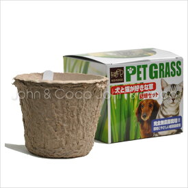 犬と猫が好きな草 栽培セット 猫草 毛玉 簡単 種まき済 国産