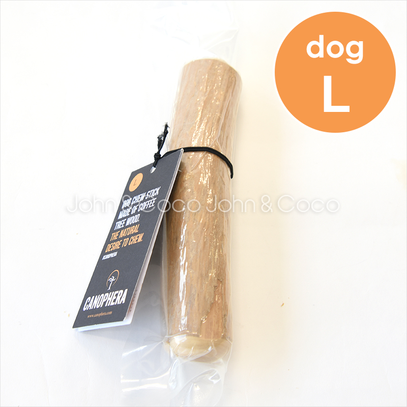キャノフィラ DOG デンタルチュー L　犬用 おもちゃ 噛む コーヒーの木 大型犬