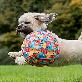 Jospictjaboau 犬 ボール遊び 英語 犬 ボール遊び 英語