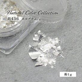 B436 ネイルパーツ Natural Color Collection ホログラム/a 約1g Mpetit Japan ナチュラルカラーコレクション ジェルネイル ネイルグッズ ネイル用品 ネイルアート ホロネイル ビジューネイル ビジューパーツ 宝石ネイル エムプティジャパンエムジェル
