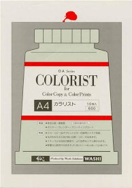 カラリスト　A4判　10枚入