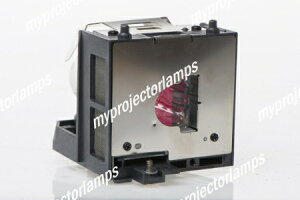 Sharp AN-XR10LPΉou̗ppvWFN^[v