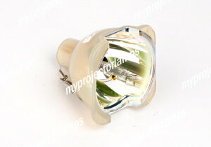 Marantz LU10VPS1Ήou̗ppvWFN^[v