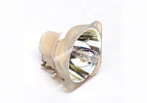 NEC NP03LPΉou̗ppvWFN^[v