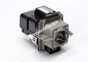 NEC LH01LPΉou̗ppvWFN^[v