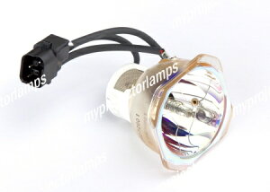 NEC LT60LP(K)Ήou̗ppvWFN^[v