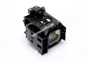 NEC 50030850Ήou̗ppvWFN^[v