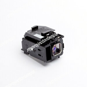 NEC 60002094Ήou̗ppvWFN^[v