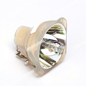 NEC NP09LPΉou̗ppvWFN^[v