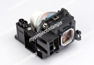 NEC 60003120Ήou̗ppvWFN^[v