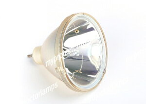 Sharp CLMPF0064CE01Ήou̗ppvWFN^[v